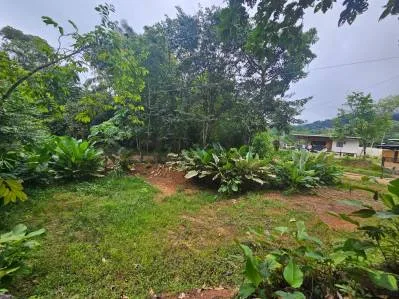"Descubra su sueño en las mejores propiedades inmobiliarias de Uvita", photo 3