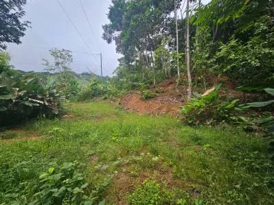 "Descubra su sueño en las mejores propiedades inmobiliarias de Uvita", photo 4