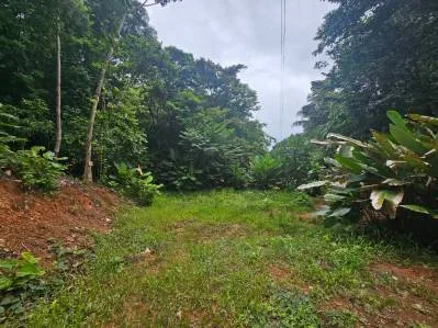 "Descubra su sueño en las mejores propiedades inmobiliarias de Uvita", photo 5