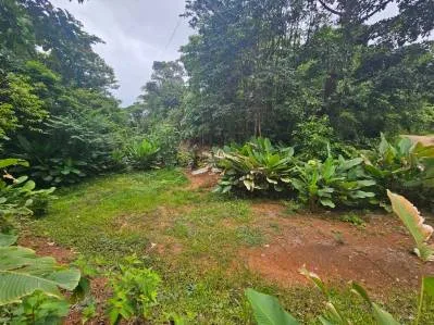 "Descubra su sueño en las mejores propiedades inmobiliarias de Uvita", photo 6