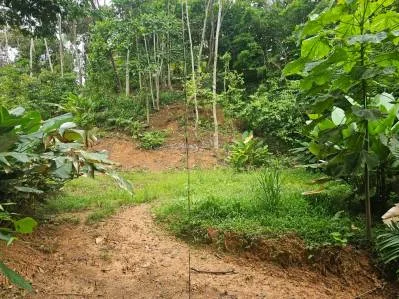 "Descubra su sueño en las mejores propiedades inmobiliarias de Uvita", photo 7