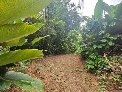"Descubra su sueño en las mejores propiedades inmobiliarias de Uvita", photo 8