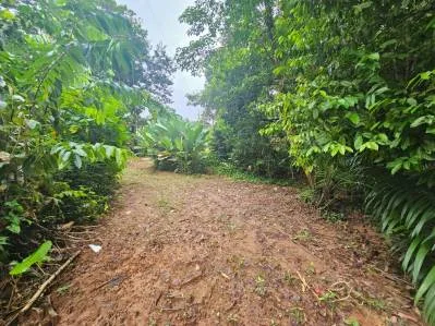 "Descubra su sueño en las mejores propiedades inmobiliarias de Uvita", photo 9