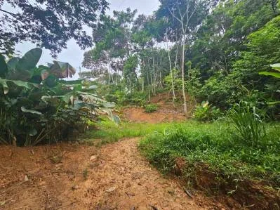 "Descubra su sueño en las mejores propiedades inmobiliarias de Uvita", photo 10