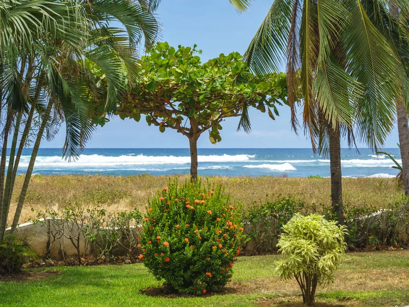 2 Bed Condo For Sale in Junquillal, photo 2