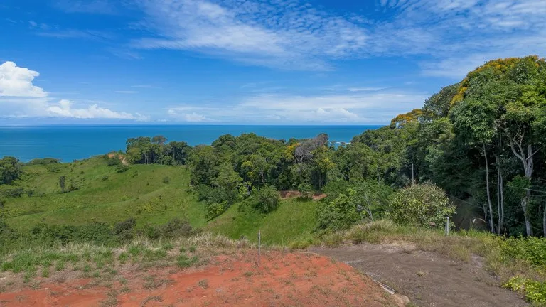 Luxury Ocean View Lot in Piñuelas - Premier Building Site, photo 11