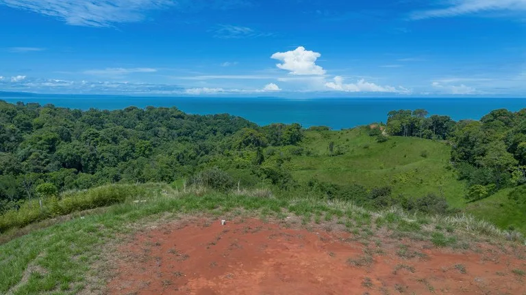 Luxury Ocean View Lot in Piñuelas - Premier Building Site, photo 12