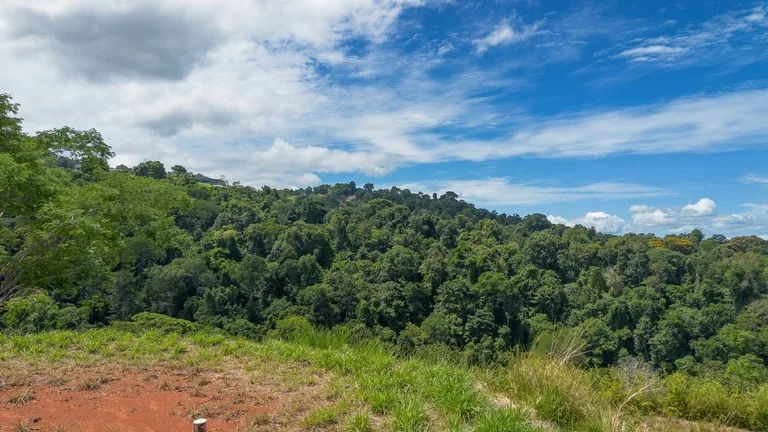 Luxury Ocean View Lot in Piñuelas - Premier Building Site, photo 4