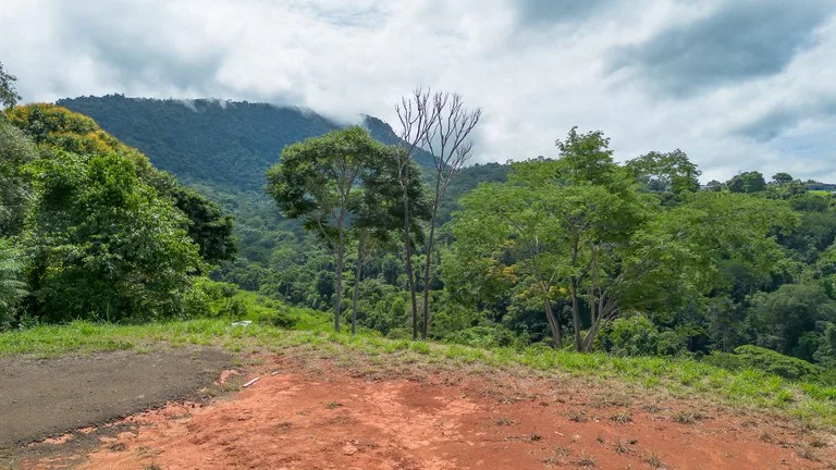 Luxury Ocean View Lot in Piñuelas - Premier Building Site, photo 5