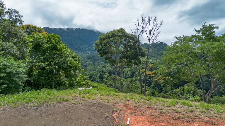 Luxury Ocean View Lot in Piñuelas - Premier Building Site, photo 6
