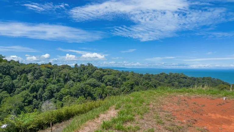 Luxury Ocean View Lot in Piñuelas - Premier Building Site, photo 7