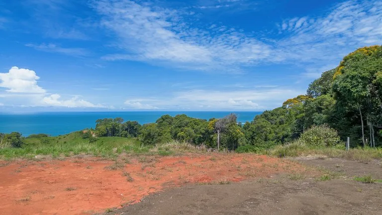 Luxury Ocean View Lot in Piñuelas - Premier Building Site, photo 9