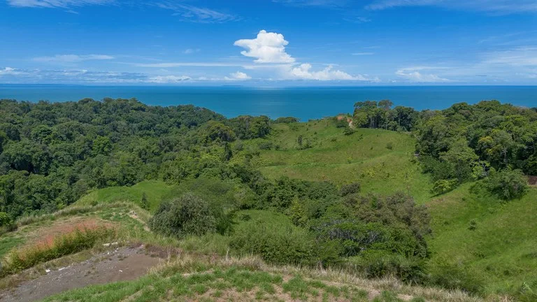 Luxury Ocean View Lot in Piñuelas - Premier Building Site, photo 10
