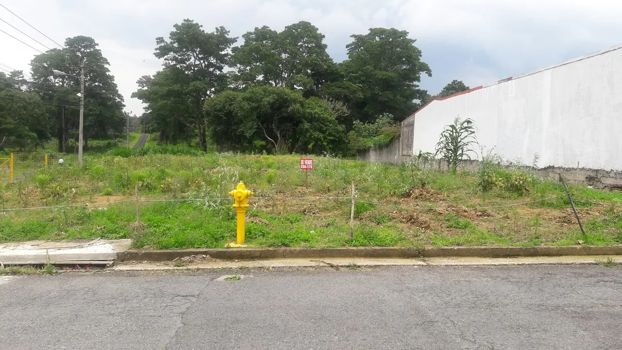 Se venden dos lindos lotes en residencial Lomas de Ayarco de Curridabat, topografía plana, uno esquinero y el otro colindante.