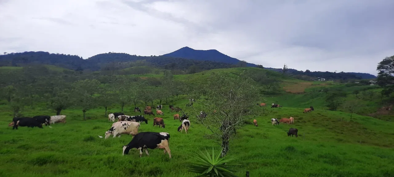 Linda Propiedad en Ciudad Quesada, San Carlos