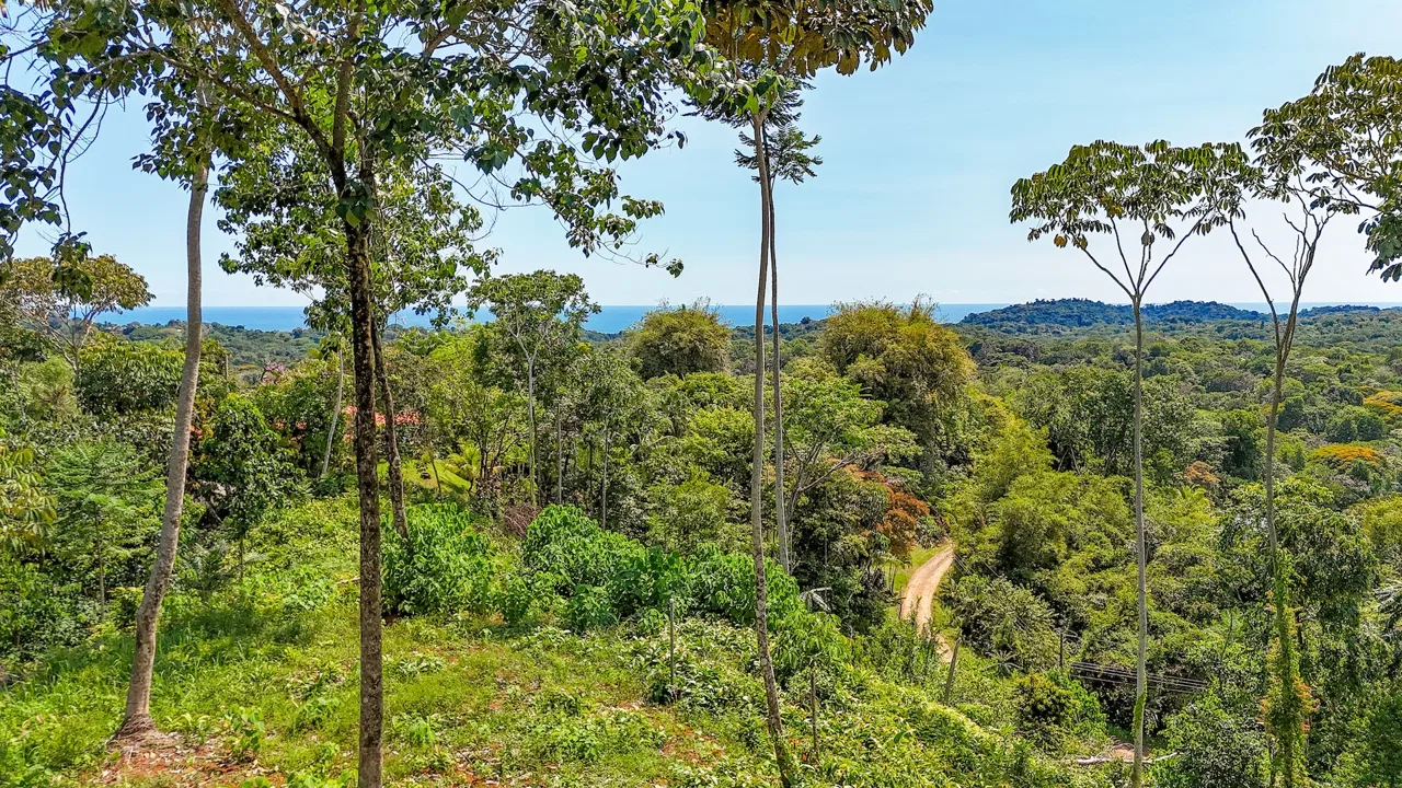 BUILDING PROPERTY WITH MOUNTAIN VIEWS, IN OJOCHAL – 5.75 ACRES, photo 11