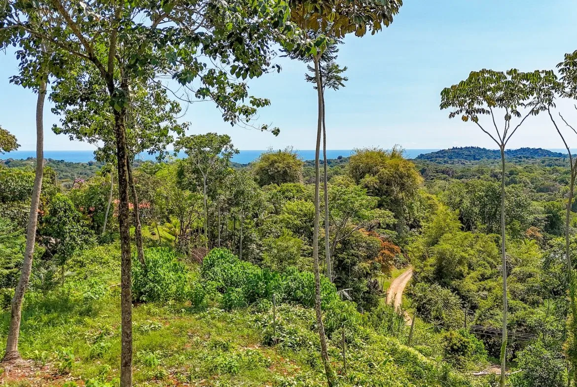 BUILDING PROPERTY WITH MOUNTAIN VIEWS, IN OJOCHAL – 5.75 ACRES, photo 12