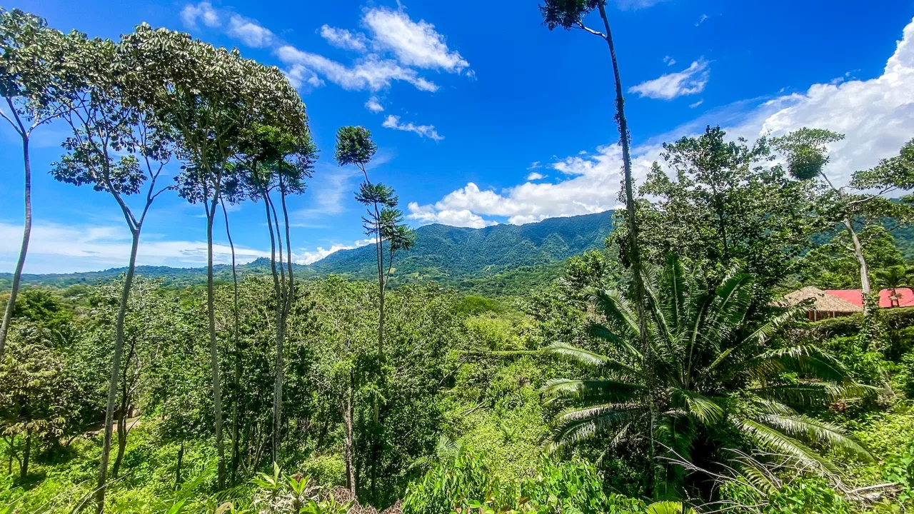 BUILDING PROPERTY WITH MOUNTAIN VIEWS, IN OJOCHAL – 5.75 ACRES, photo 13