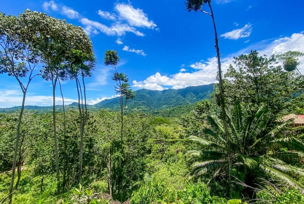 BUILDING PROPERTY WITH MOUNTAIN VIEWS, IN OJOCHAL – 5.75 ACRES, photo 14