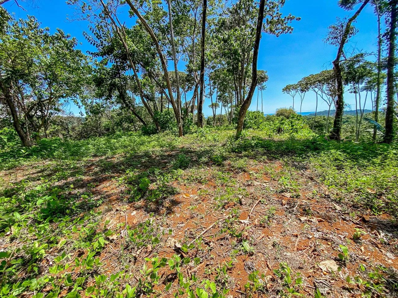 BUILDING PROPERTY WITH MOUNTAIN VIEWS, IN OJOCHAL – 5.75 ACRES, photo 15