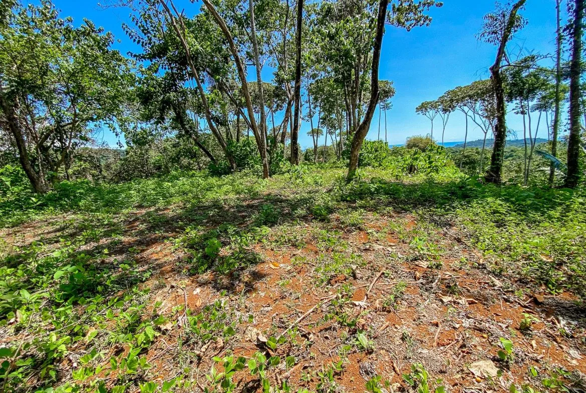 BUILDING PROPERTY WITH MOUNTAIN VIEWS, IN OJOCHAL – 5.75 ACRES, photo 16