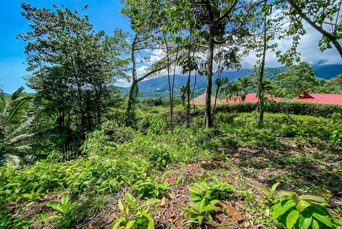 BUILDING PROPERTY WITH MOUNTAIN VIEWS, IN OJOCHAL – 5.75 ACRES, photo 18