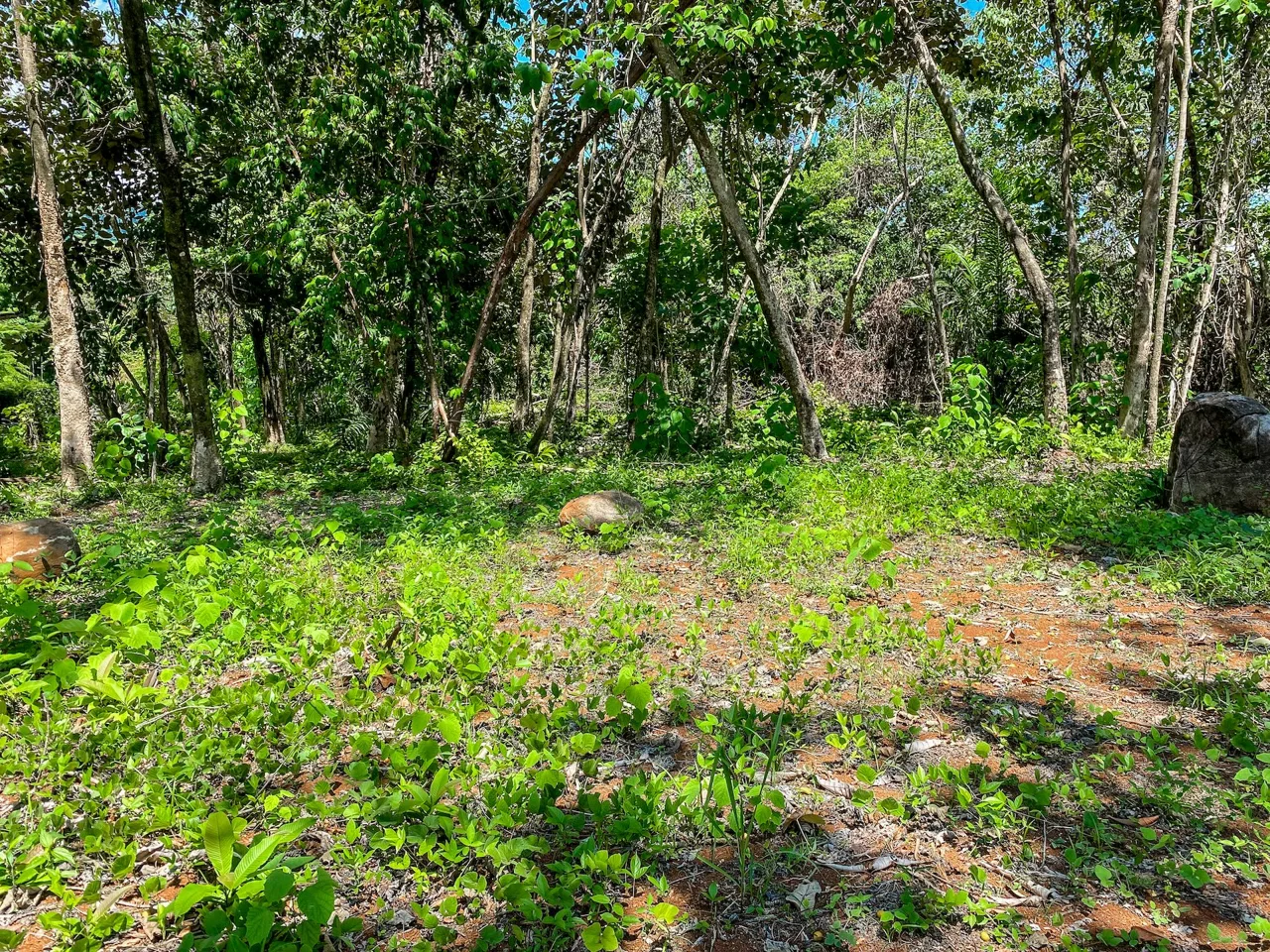 BUILDING PROPERTY WITH MOUNTAIN VIEWS, IN OJOCHAL – 5.75 ACRES, photo 21