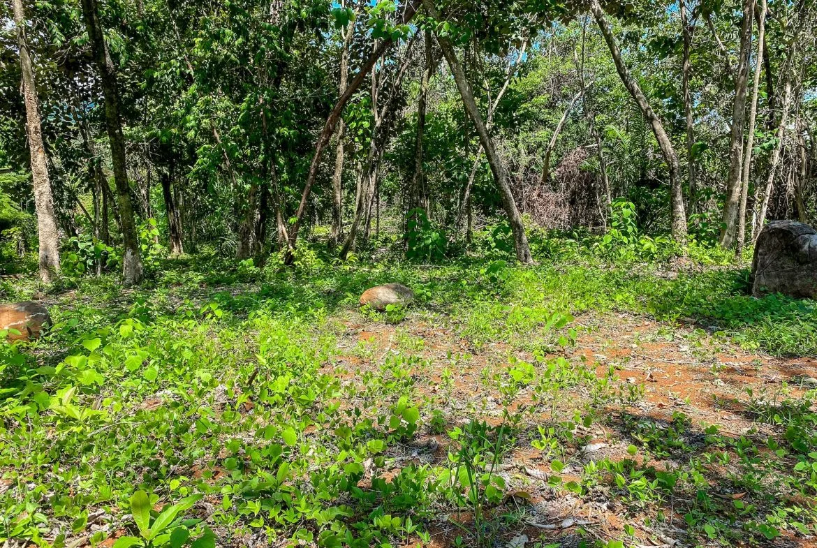 BUILDING PROPERTY WITH MOUNTAIN VIEWS, IN OJOCHAL – 5.75 ACRES, photo 22