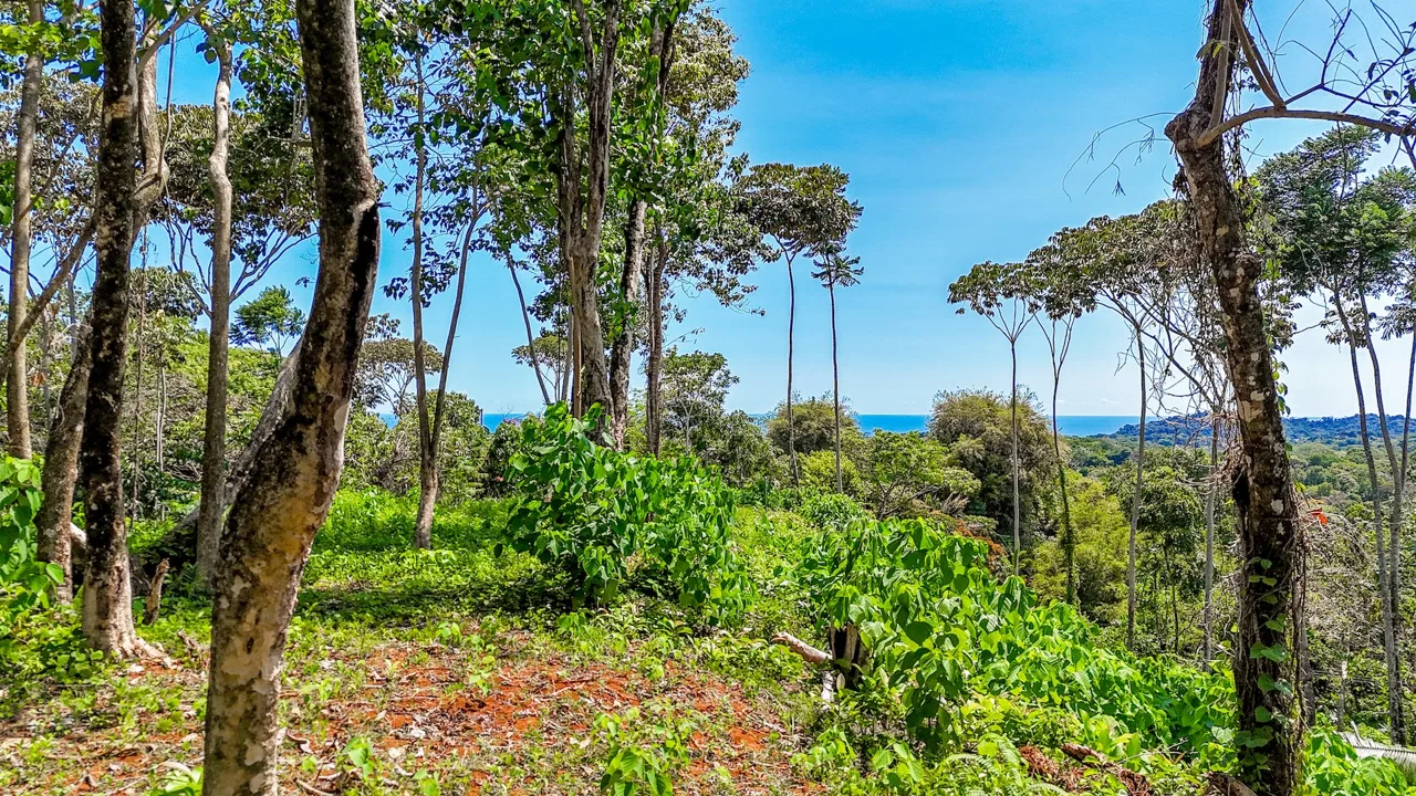 BUILDING PROPERTY WITH MOUNTAIN VIEWS, IN OJOCHAL – 5.75 ACRES, photo 23