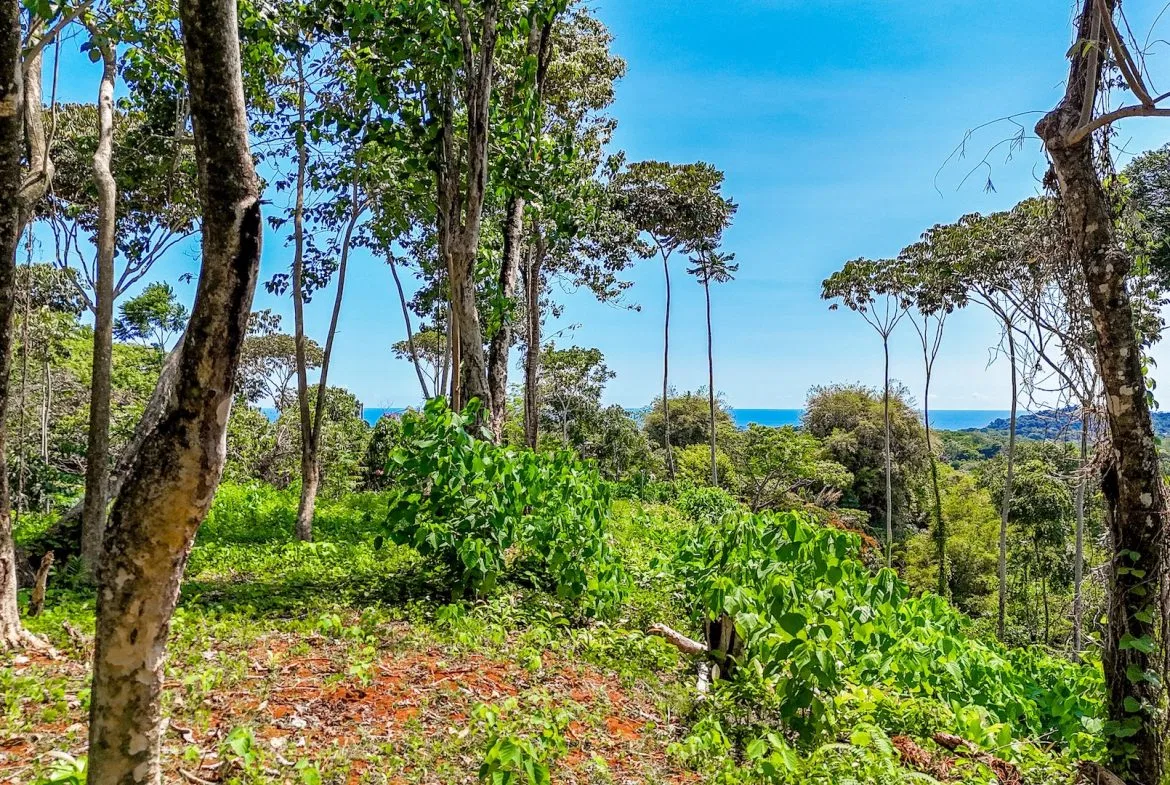 BUILDING PROPERTY WITH MOUNTAIN VIEWS, IN OJOCHAL – 5.75 ACRES, photo 24