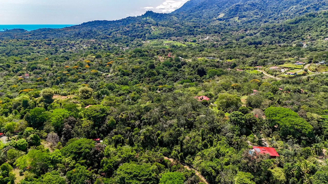 BUILDING PROPERTY WITH MOUNTAIN VIEWS, IN OJOCHAL – 5.75 ACRES, photo 5