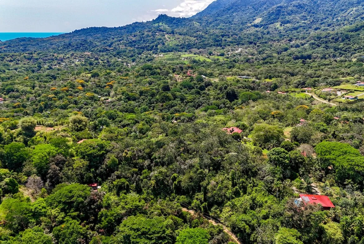 BUILDING PROPERTY WITH MOUNTAIN VIEWS, IN OJOCHAL – 5.75 ACRES, photo 6