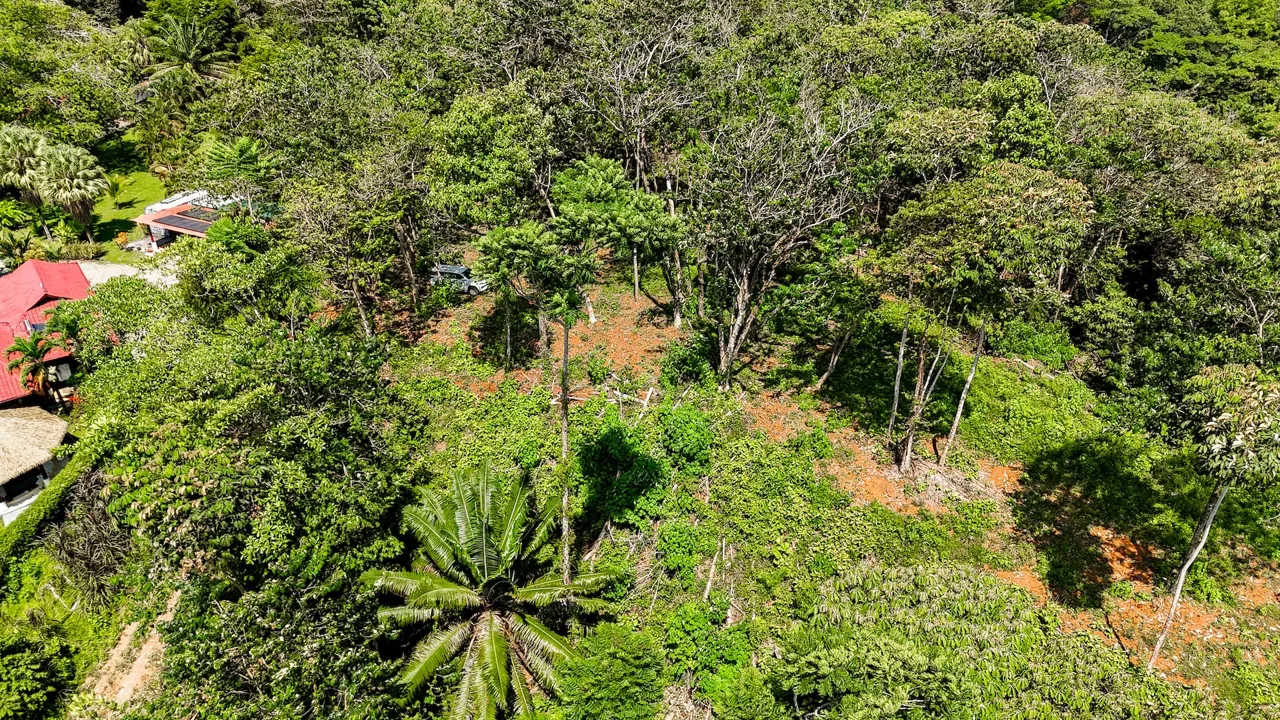BUILDING PROPERTY WITH MOUNTAIN VIEWS, IN OJOCHAL – 5.75 ACRES, photo 7