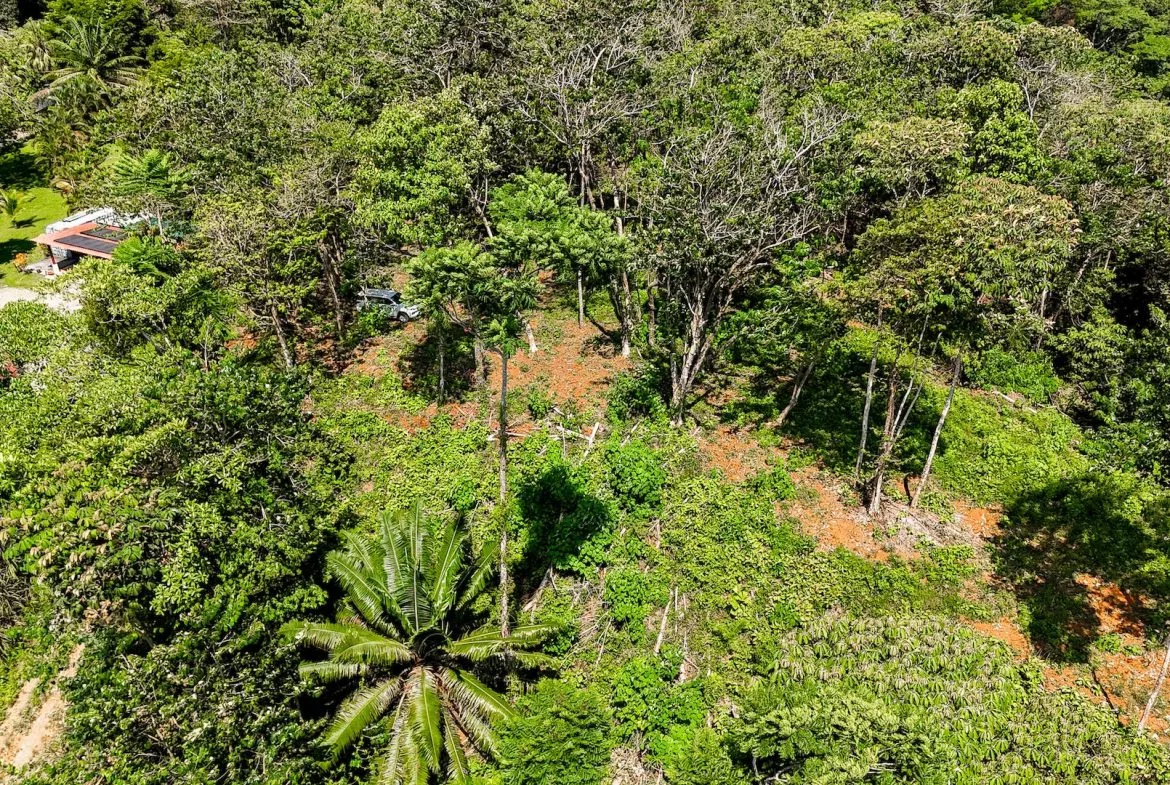 BUILDING PROPERTY WITH MOUNTAIN VIEWS, IN OJOCHAL – 5.75 ACRES, photo 8