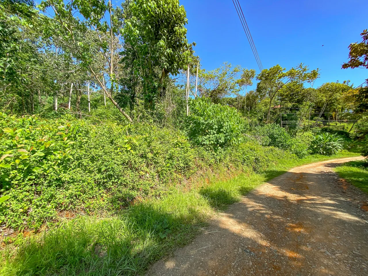 BUILDING PROPERTY WITH MOUNTAIN VIEWS, IN OJOCHAL – 5.75 ACRES, photo 9