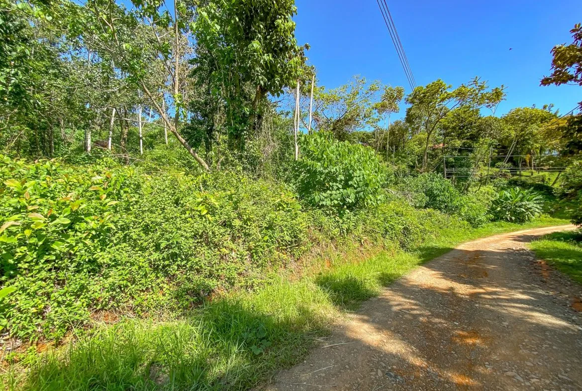 BUILDING PROPERTY WITH MOUNTAIN VIEWS, IN OJOCHAL – 5.75 ACRES, photo 10