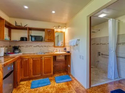 HOTEL PROPERTY WITH EIGHT BEDROOMS IN THE MOUNTAINS, IN TRES RIOS – 5.03 ACRES, photo 30