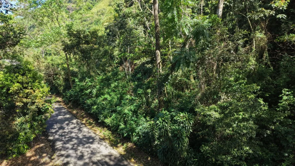 Land for Sale in San Francisco de Rivas: Prime Lot with Paved Frontage near Chirripó River H1