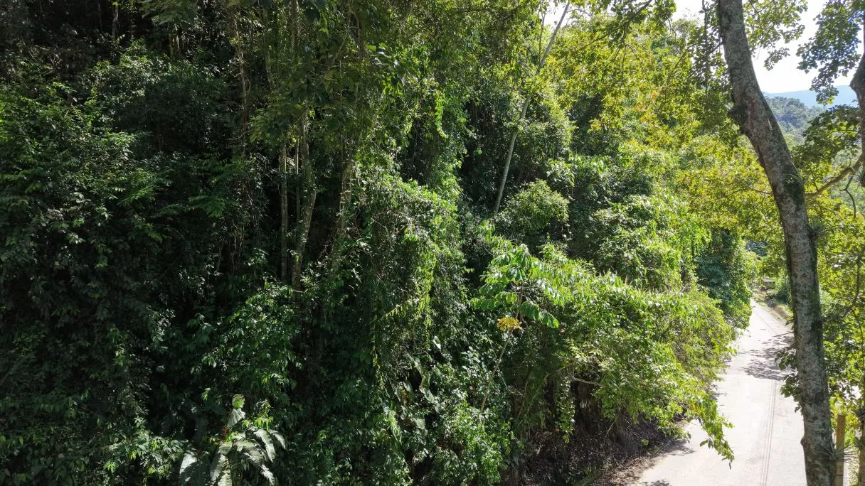 Land for Sale in San Francisco de Rivas: Prime Lot with Paved Frontage near Chirripó River H1, photo 2