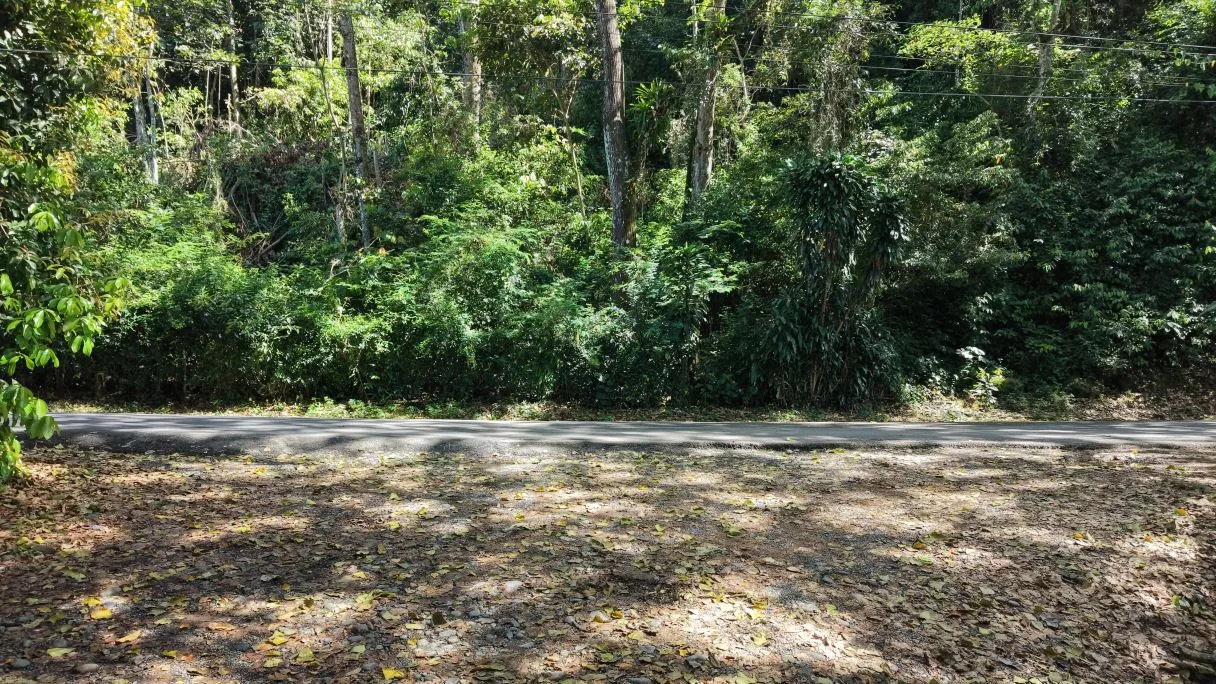 Land for Sale in San Francisco de Rivas: Prime Lot with Paved Frontage near Chirripó River H1, photo 3