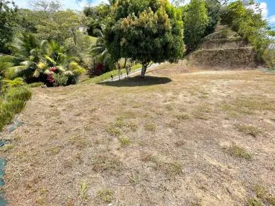 Magnífico terreno de media hectárea con vistas al océano en Ojochal FRONT RIDGE, photo 3