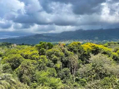 Magnífico terreno de media hectárea con vistas al océano en Ojochal FRONT RIDGE, photo 6