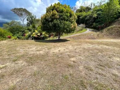 Magnífico terreno de media hectárea con vistas al océano en Ojochal FRONT RIDGE, photo 9