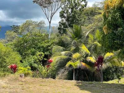 Magnífico terreno de media hectárea con vistas al océano en Ojochal FRONT RIDGE, photo 10