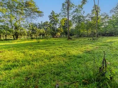 Venta de Finca en La Colonia, Guápiles