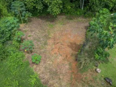 Tierra Bendita, 2,5 acres de terreno utilizable con casa existente y acceso al río., photo 7
