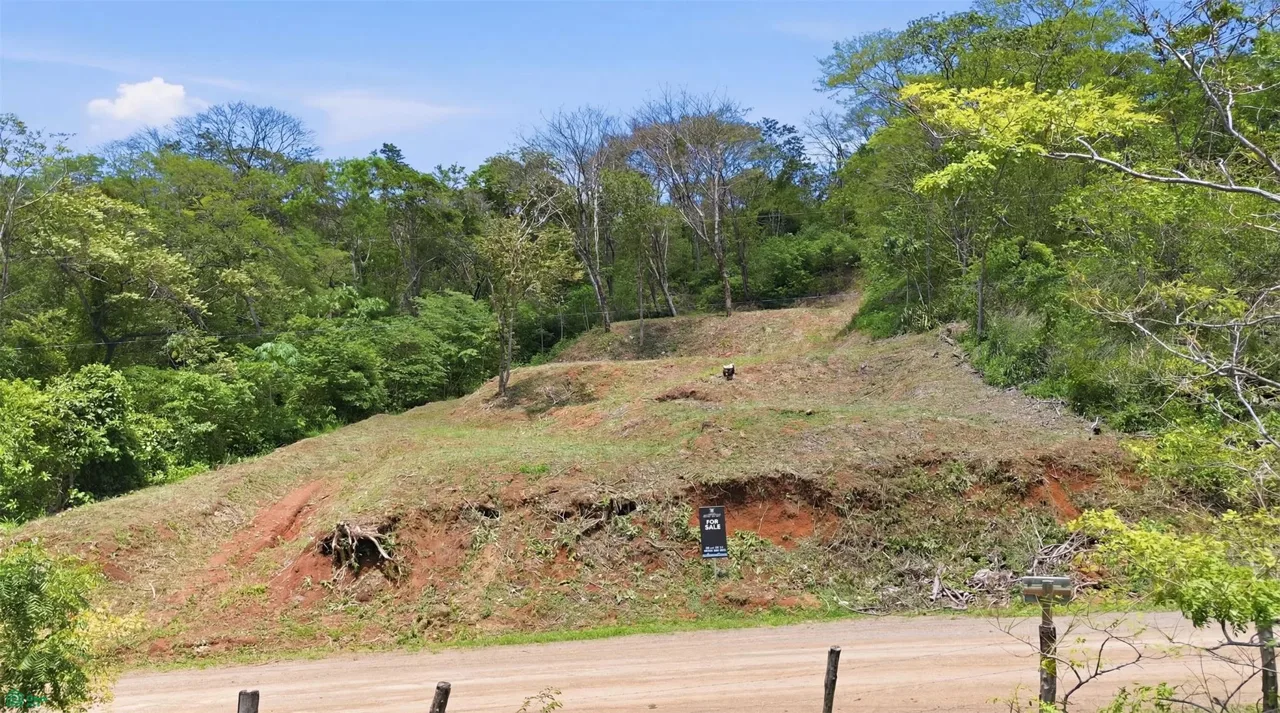Mixed Use Lot In Santa Rosa Tamarindo Guanacaste, photo 5