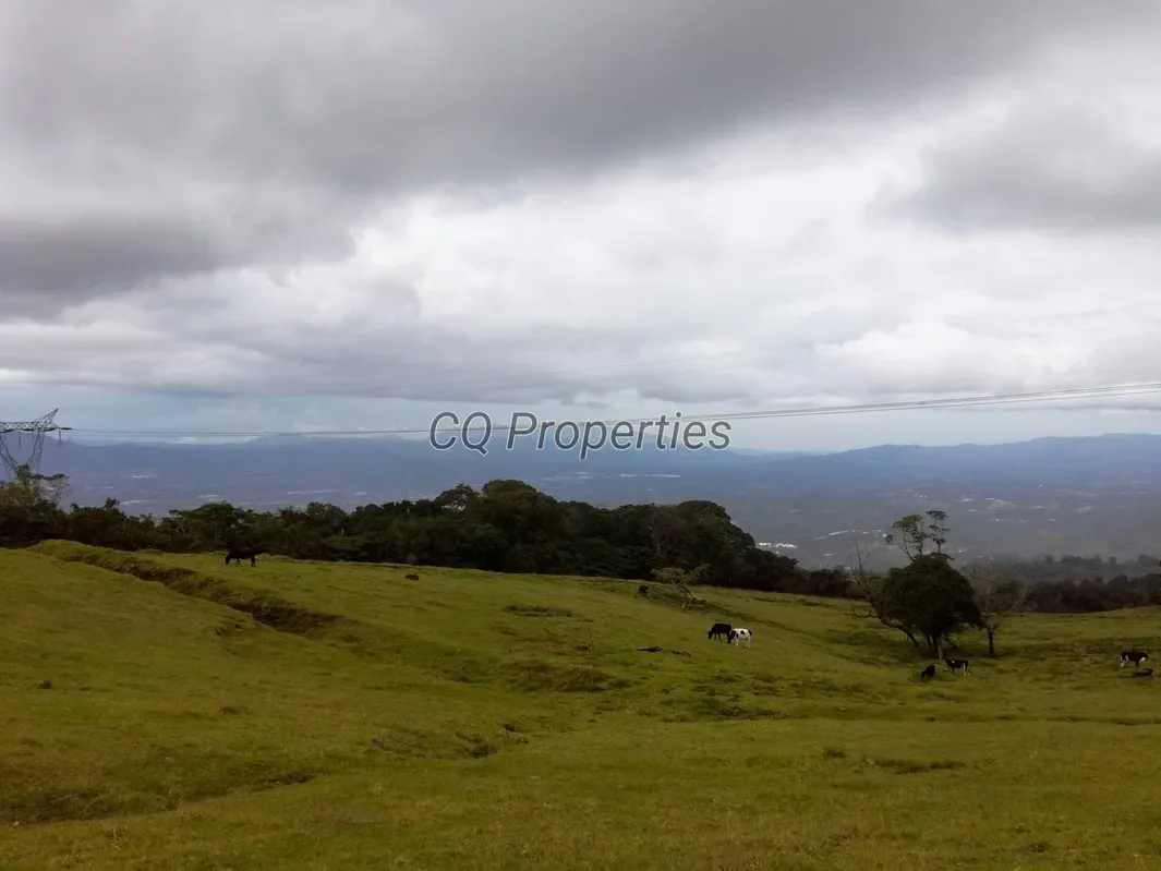 Farm for sale, El Roble/Santa Barbara 18.7 hectares