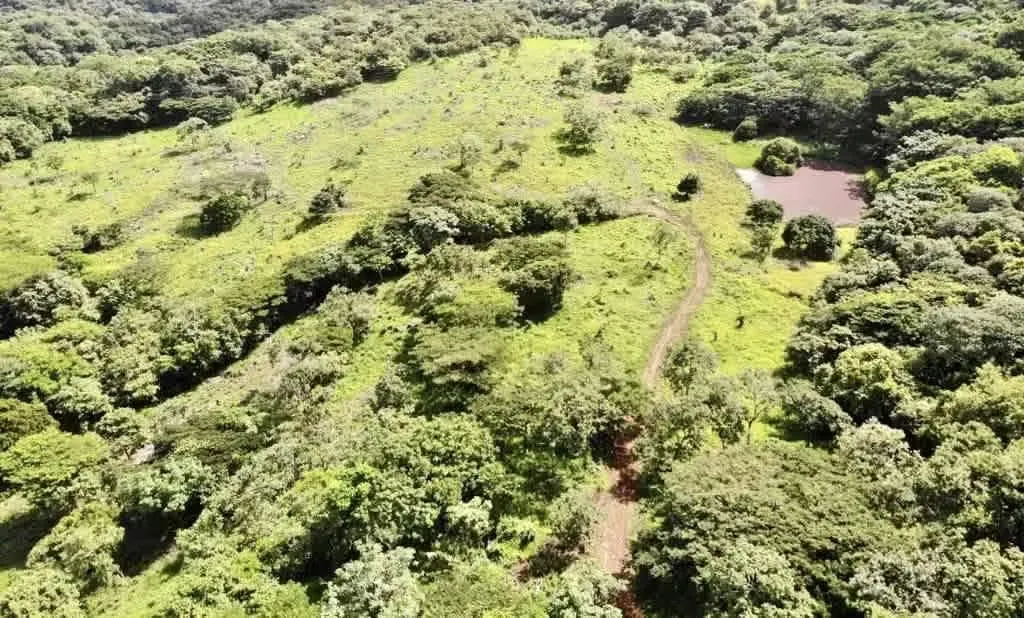 For sale farm cattle Guanacaste Tilarán 114 hectares