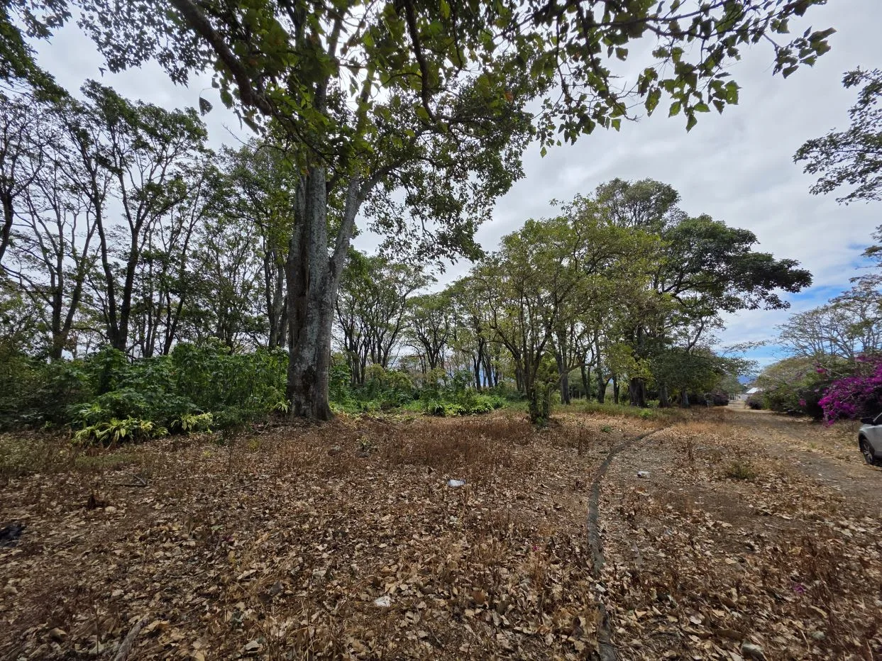 Lot for Sale in Private Development in San Rafael, Heredia - 75,347 ft² (1.73 acres) | Tranquility, Nature and Convenience, photo 2